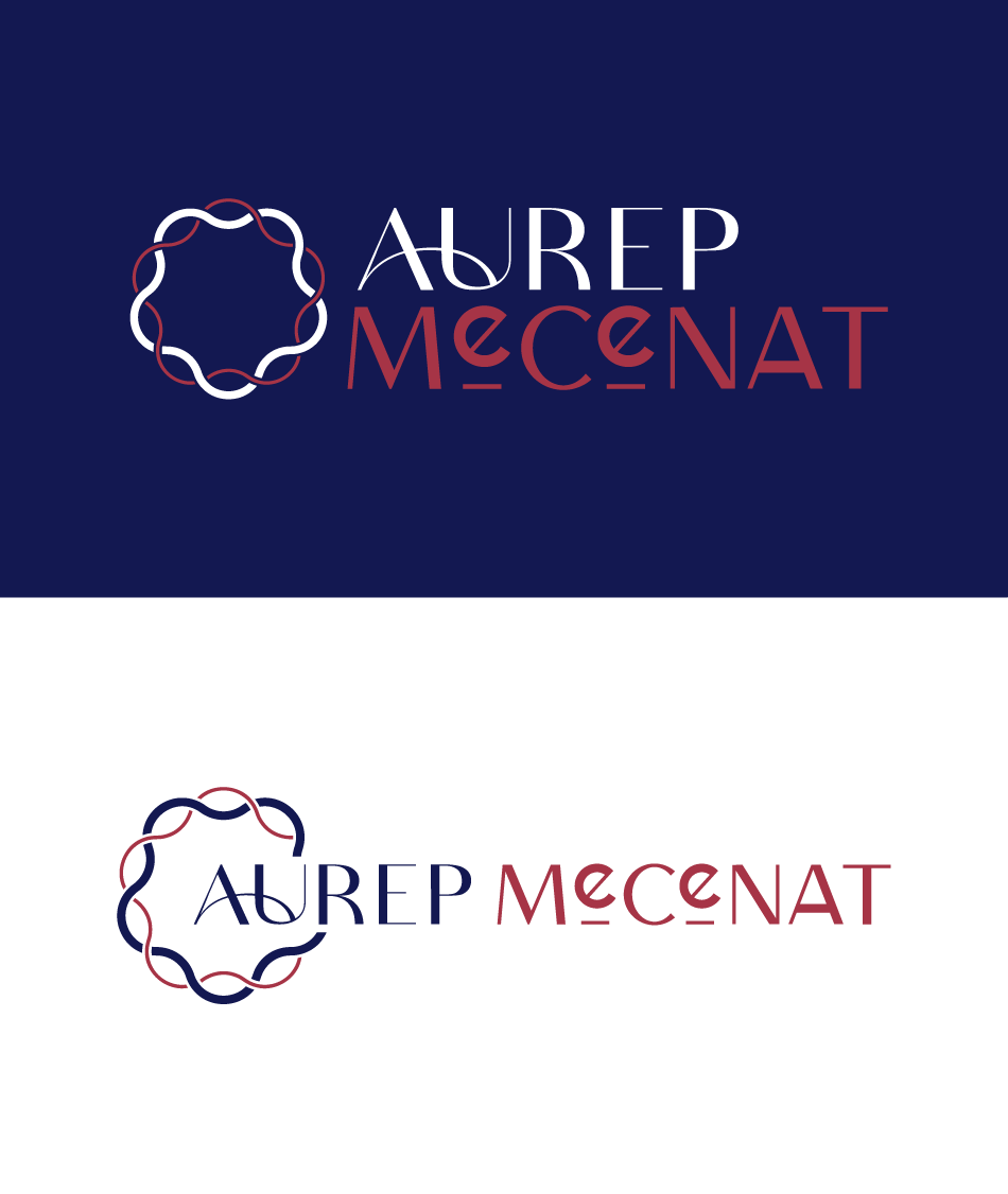 Agence web digital clermont ferrand le dupplex auvergne AUREP Mecenat 3